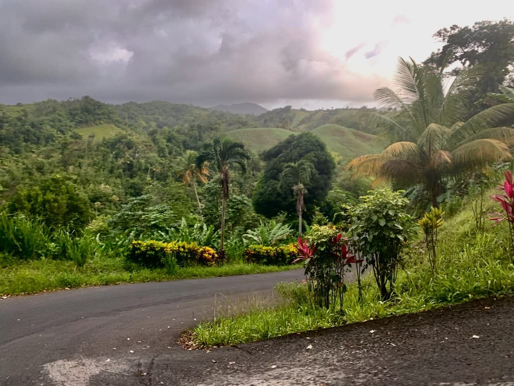Road through a lush green valley in Dominica